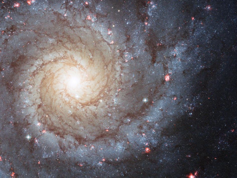 spiralgalaxy