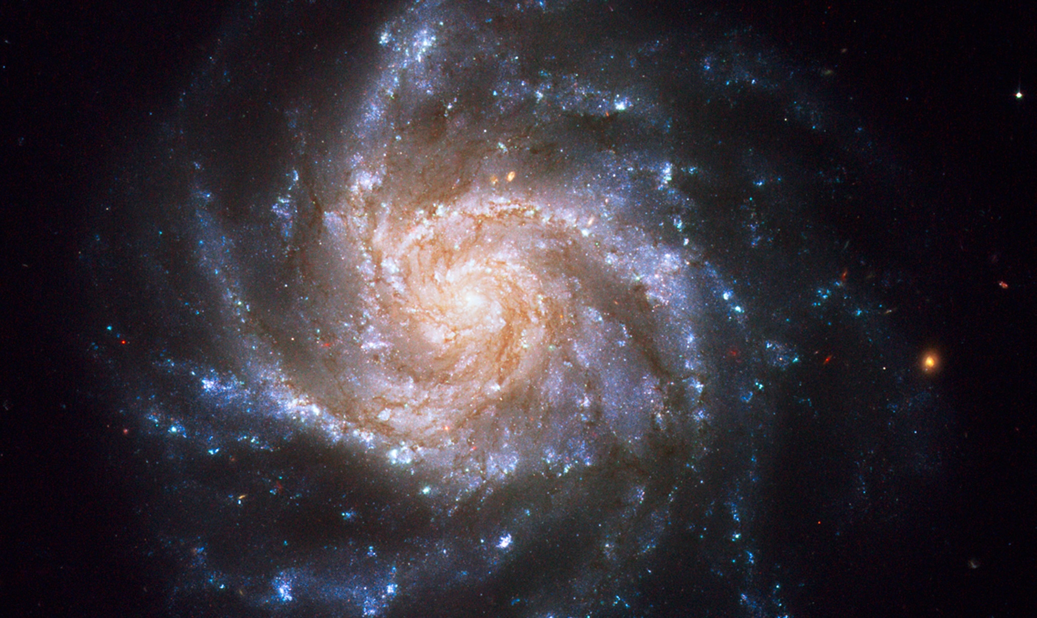 galaktyka spiralna NGC 1376